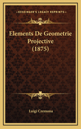 Elements de Geometrie Projective (1875)