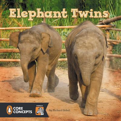 Elephant Twins - Sobol, Richard