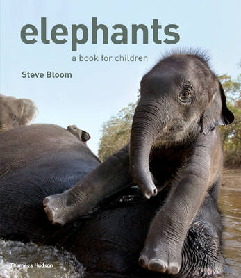 Elephants: A Book for Children - Bloom, Steve (Photographer), and Wilson, David Henry (Text by)