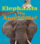 Elephants Are Awesome!