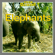 Elephants - Petty, Kate