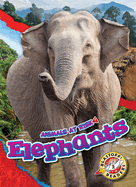 Elephants