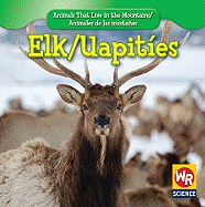 Elk / Uapites