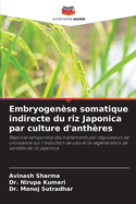 Embryogense somatique indirecte du riz Japonica par culture d'anthres
