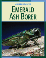 Emerald Ash Borer