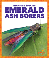 Emerald Ash Borers