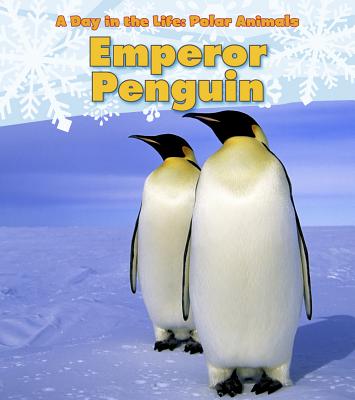 Emperor Penguin - Marsico, Katie
