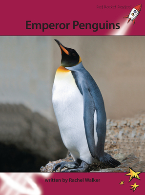 Emperor Penguins - Walker, Rachel