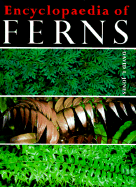 Encyclopaedia of Ferns: An Introduction to Ferns, Their Structure, Biology, Economic Importance, Cultivation and Propagation - Jones, David L