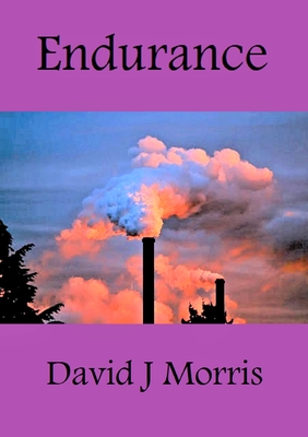 Endurance - Morris, David J