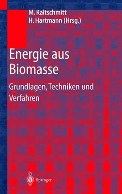 Energie Aus Biomasse: Grundlagen, Techniken Und Verfahren - Kaltschmitt, Martin (Editor), and Hartmann, Hans (Editor), and Hofbauer, Hermann (Editor)