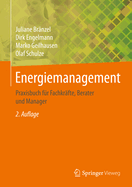 Energiemanagement: Praxisbuch F?r Fachkr?fte, Berater Und Manager