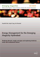 Energy Management for the Emerging Megacity Hyderabad