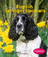 English Springer Spaniels