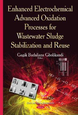 Enhanced Electrochemical Advanced Oxidation Processes for Wastewater Sludge Stabilization & Reuse - Gholikandi, Gagik Badalians