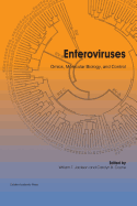 Enteroviruses: Omics, Molecular Biology and Control