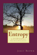 Entropy: Life, Death, and Everything in Between Color Edition