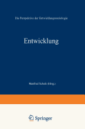 Entwicklung: Die Perspektive Der Entwicklungssoziologie