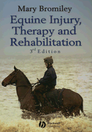 Equine Injury, Therapy and Rehabilitation