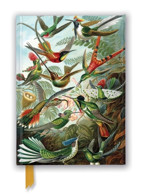 Ernst Haeckel: Hummingbirds (Foiled Journal) - Flame Tree Studio (Creator)