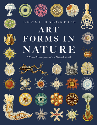 Ernst Haeckel's Art Forms in Nature: A Visual Masterpiece of the Natural World - 