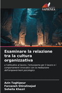 Esaminare la relazione tra la cultura organizzativa