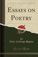 Essays on Poetry (Classic Reprint)