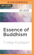 Essence of Buddhism: An Introduction to Its Philosophy and Practice (Shambhala Dragon Editions)