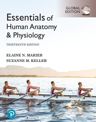 Essentials of Human Anatomy & Physiology, Global Edition + Mastering A&P with Pearson eText - Marieb, Elaine, and Keller, Suzanne