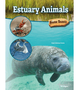 Estuary Animals