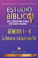 Estudio Bblico Gnesis 1-6 (Serie Sobrevolando la Biblia): Enseanzas de la Sana Doctrina: La Historia de la Creacin hasta No