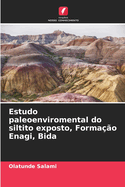 Estudo paleoenviromental do siltito exposto, Forma??o Enagi, Bida