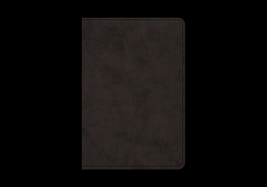 ESV Value Large Print Compact Bible, Red Letter (Trutone, Black)