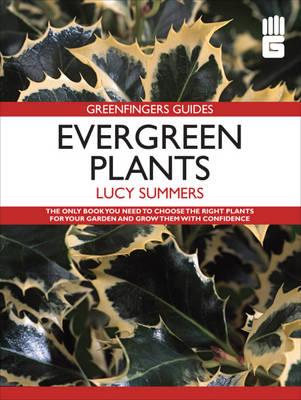 Evergreen Plants - Summers, Lucy