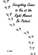 Everything Comes to You at the Right Moment. Be Patient.: Journal