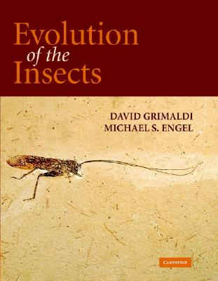 Evolution of the Insects - Grimaldi, David, and Engel, Michael S.