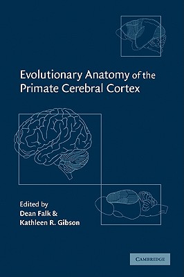 Evolutionary Anatomy of the Primate Cerebral Cortex - Falk, Dean, Professor (Editor), and Gibson, Kathleen R (Editor)