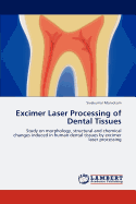 Excimer Laser Processing of Dental Tissues