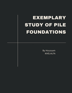 Exemplary study of pile foundations