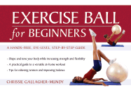 Exercise Ball for Beginners
