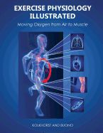 Exercise Physiology Illustrated: Moving Oxygen from Air to Muscle