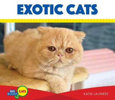 Exotic Cats - Lajiness, Katie