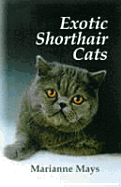 Exotic Shorthair Cats - Mays, Marianne