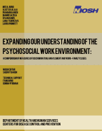 Expanding Our Understanding of the Psychosocial Work Environment: A Compendium of Measures of Discrimination, Harassment and Work-Family Issues