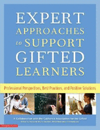 Expert Approaches to Support Gifted Learners: Professional Perspectives, Best Practices, and Positive Solutions