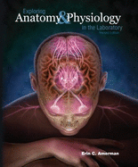 Exploring Anatomy - Amerman, Erin