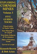 Exploring Cornish Mines: Five Guided Tours