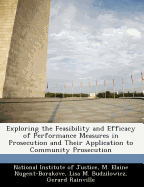 Exploring the Feasibility and Efficacy of Performance Measures in Prosecution and Their Application to Community Prosecution