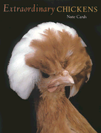 Extraordinary Chickens Note Cards