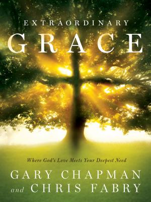 Extraordinary Grace: How the Unlikely Lineage of Jesus Reveals God's Amazing Love - Chapman, Gary, and Fabry, Chris